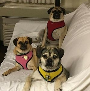 Meet your Posher, Michelle